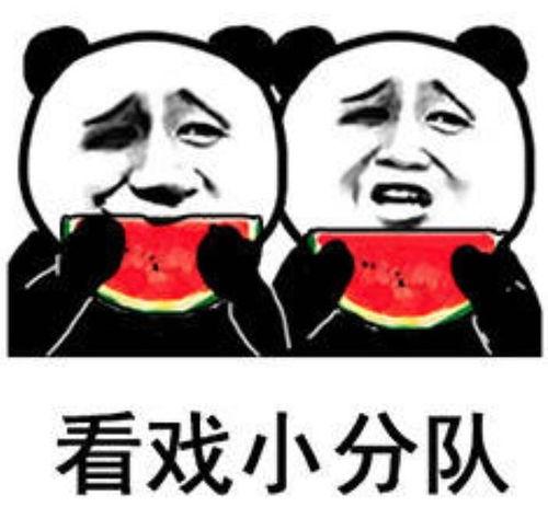 吃瓜但是没瓜的表情包,吃瓜群众眼中的“无瓜”奇观  第2张
