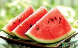 吃西瓜的瓜日期,尽享夏日西瓜盛宴