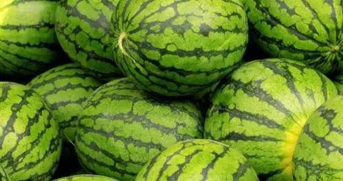 吃西瓜的瓜日期,尽享夏日西瓜盛宴  第3张