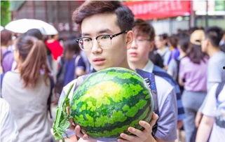 陕西吃瓜大学大型吃瓜现场,一场盛大的校园“瓜”事狂欢 第2张 陕西吃瓜大学大型吃瓜现场,一场盛大的校园“瓜”事狂欢 第2张