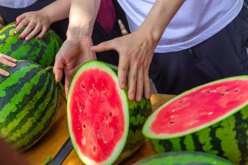 陕西吃瓜大学大型吃瓜现场,一场盛大的校园“瓜”事狂欢 第3张 陕西吃瓜大学大型吃瓜现场,一场盛大的校园“瓜”事狂欢 第3张