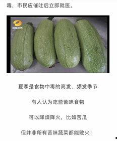 吃白瓜补啥 第3张 吃白瓜补啥 第3张