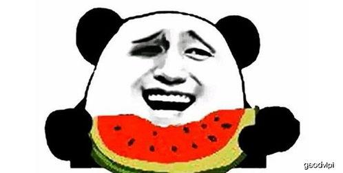 吃瓜群众真是搞笑,搞笑日常，笑料百出  第3张